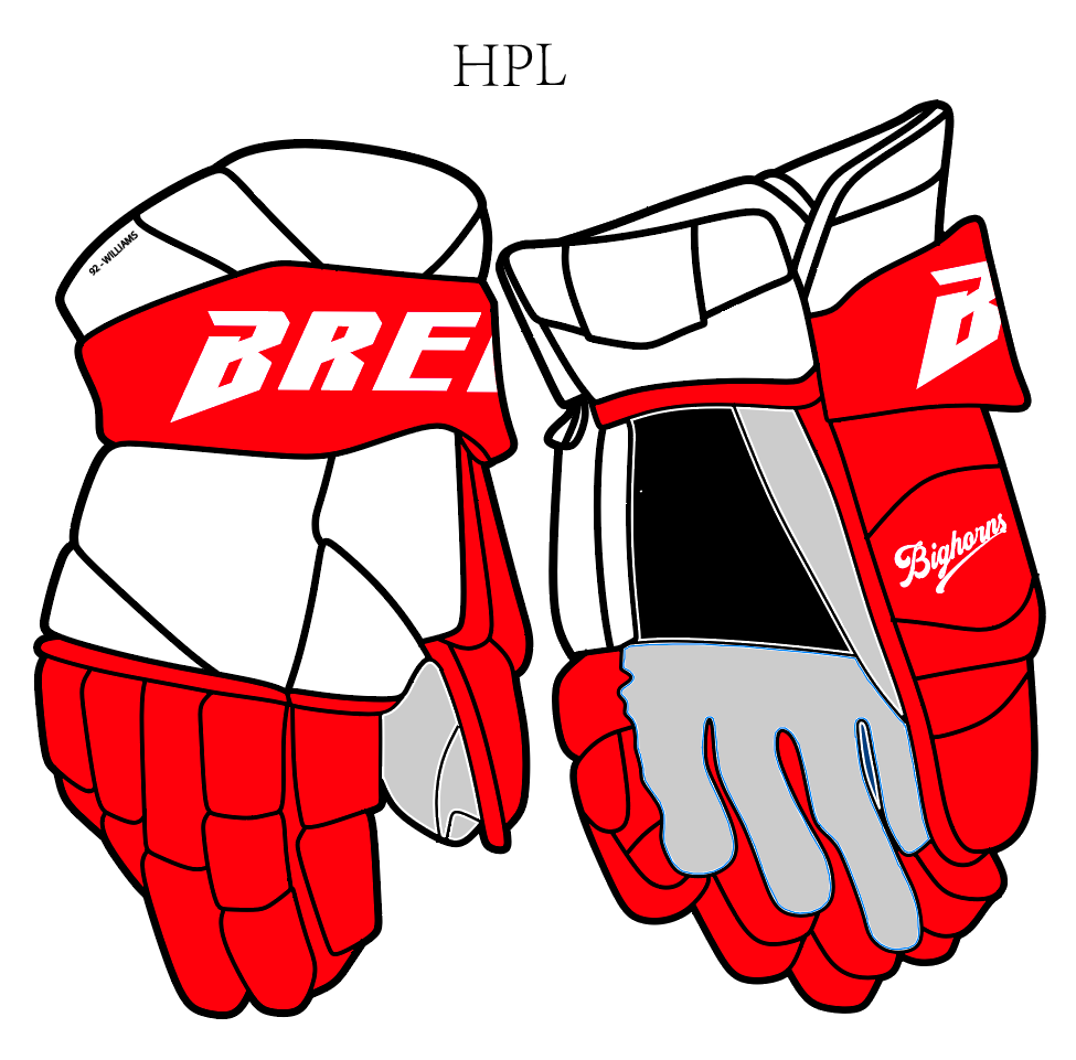 Big Horns Team Gloves | *Pre-ORDER*