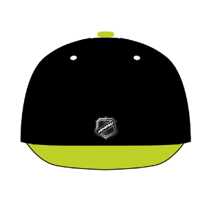 Flat Brim - Flexifit